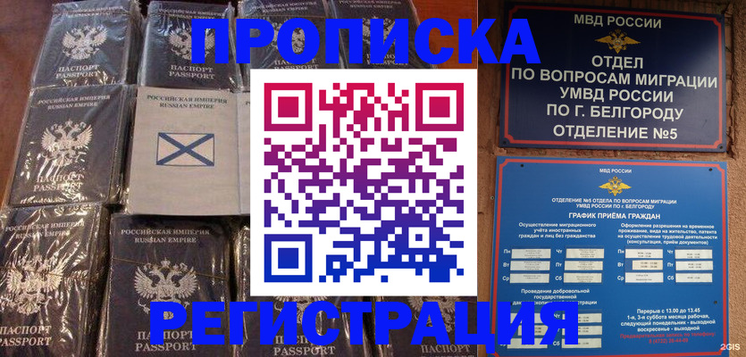 прописка гарантия в Пензе